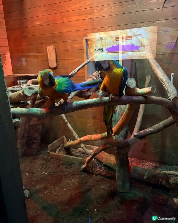 Noah’s Ark - 認識聖經故事一日游