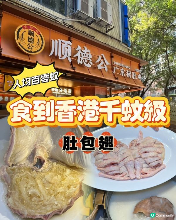順德公豬肚雞 暖胃團圓飯 😋