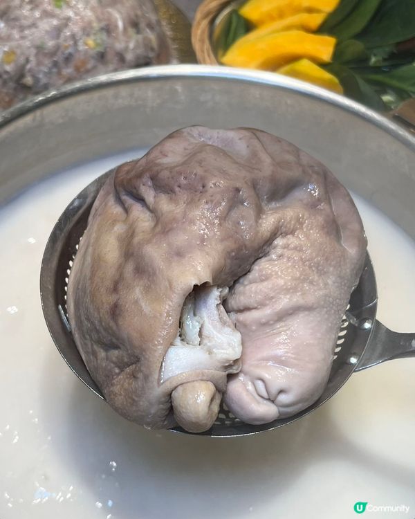 順德公豬肚雞 暖胃團圓飯 😋