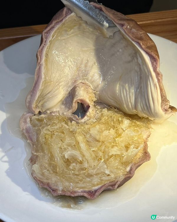 順德公豬肚雞 暖胃團圓飯 😋