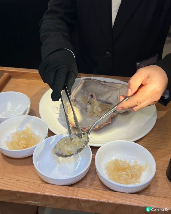 順德公豬肚雞 暖胃團圓飯 😋