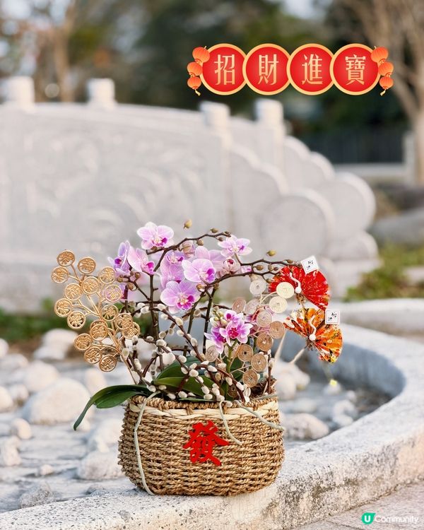 🌺 靚花專屬優惠