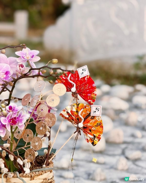 🌺 靚花專屬優惠