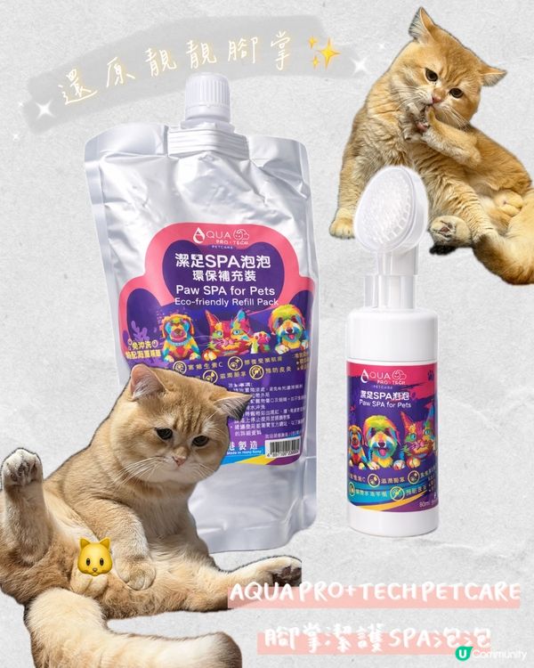 貓狗腳掌救星！免費試用！🐾✨