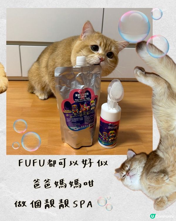 貓狗腳掌救星！免費試用！🐾✨