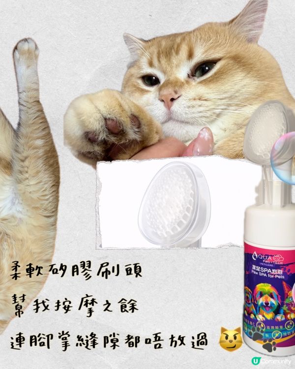 貓狗腳掌救星！免費試用！🐾✨