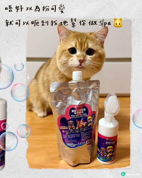貓狗腳掌救星！免費試用！🐾✨