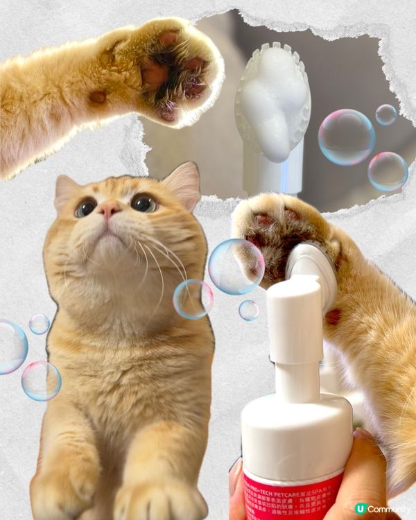 貓狗腳掌救星！免費試用！🐾✨