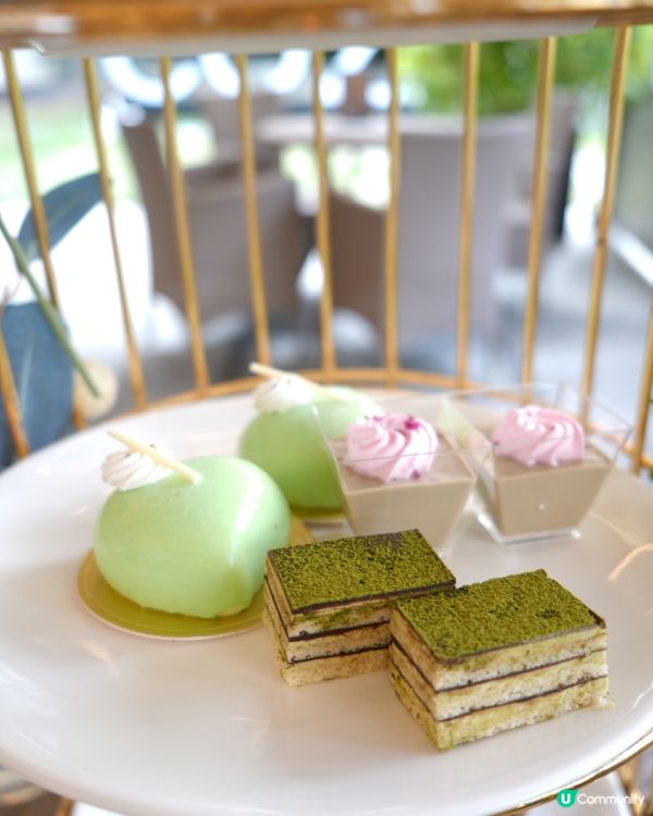 / 帶毛孩去酒店High Tea \ 