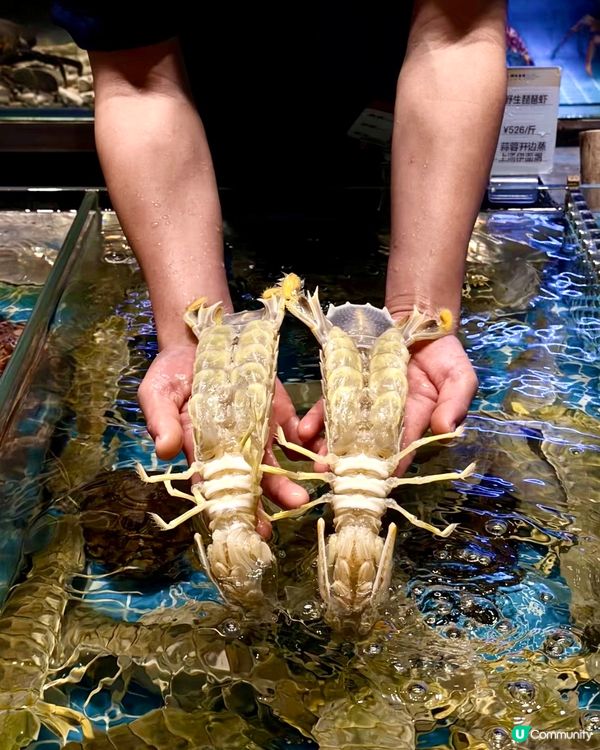 長輩都讚嘅高質團年飯海鮮盛宴😋