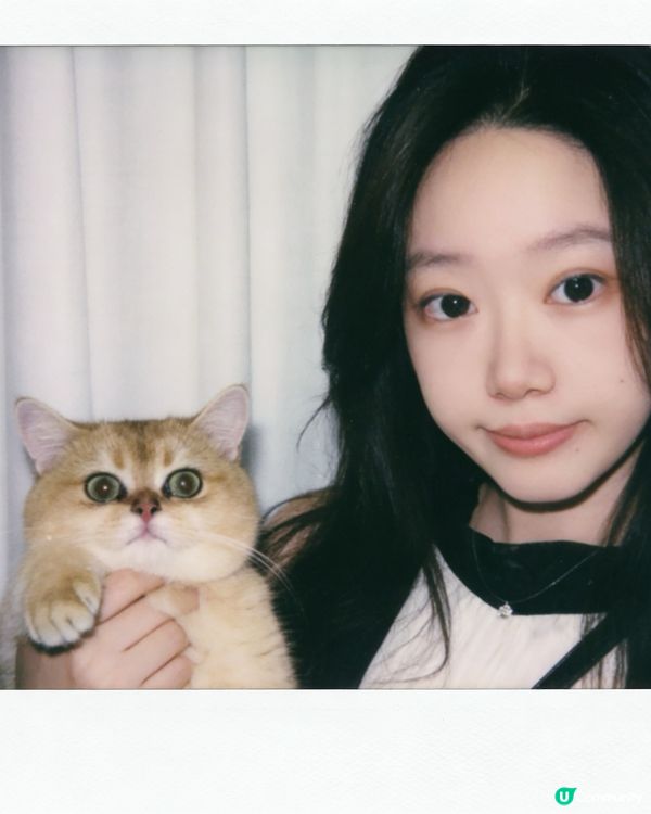 咪咪貓貓寶寶 配合拍照📷