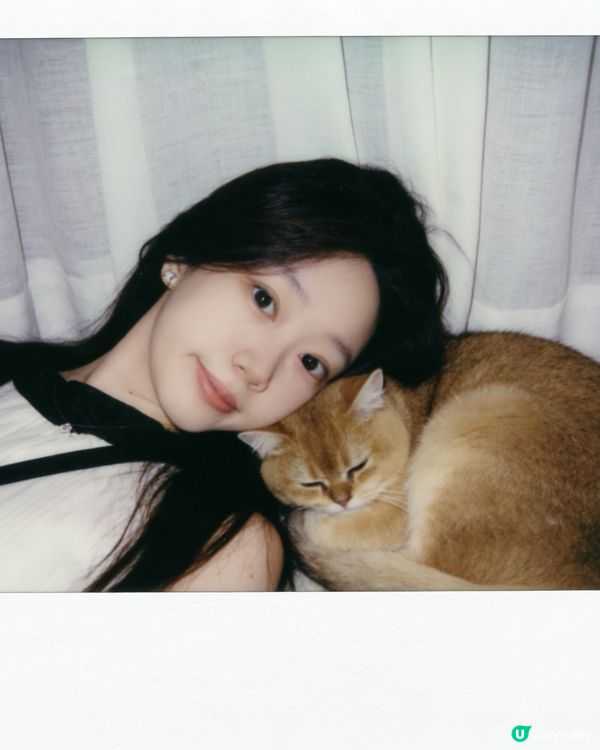 咪咪貓貓寶寶 配合拍照📷