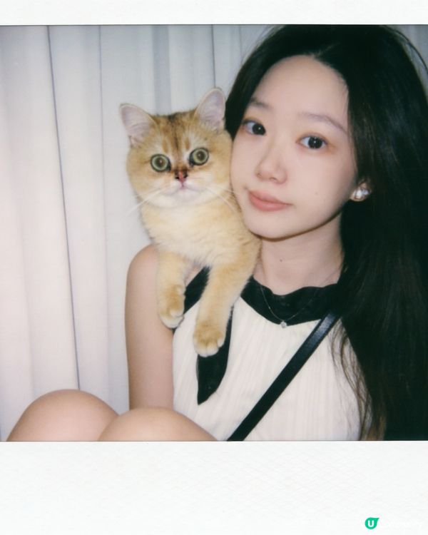 咪咪貓貓寶寶 配合拍照📷