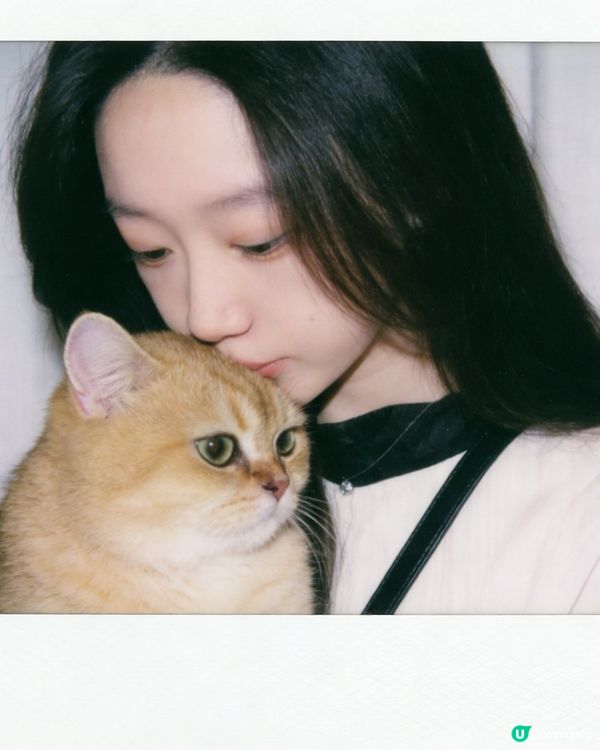 咪咪貓貓寶寶 配合拍照📷