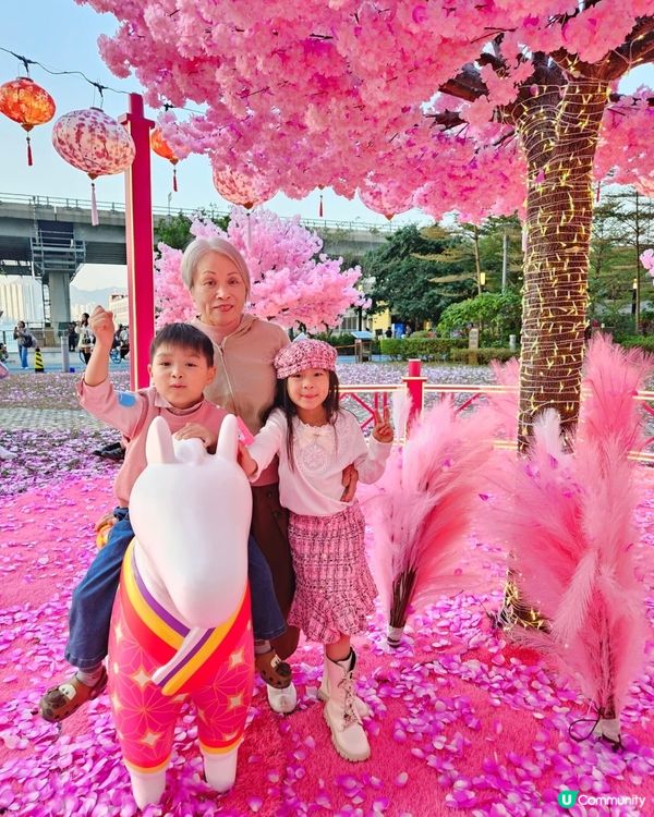 🌸🩷 今年新年最爆 Pink 打卡點 → 北角匯對出海濱→巨...