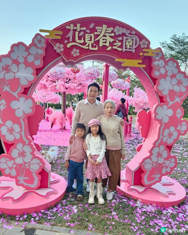 🌸🩷 今年新年最爆 Pink 打卡點 → 北角匯對出海濱→巨...