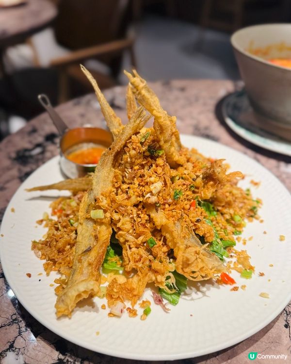 海之戀泰菜🤤平到笑！必食蝦煲🦐