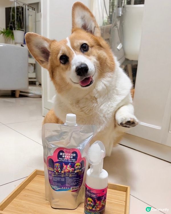 AQUA Pro+TECH PETCARE腳掌潔護SPA泡泡