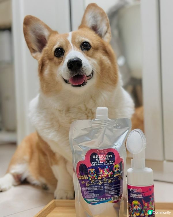 AQUA Pro+TECH PETCARE腳掌潔護SPA泡泡