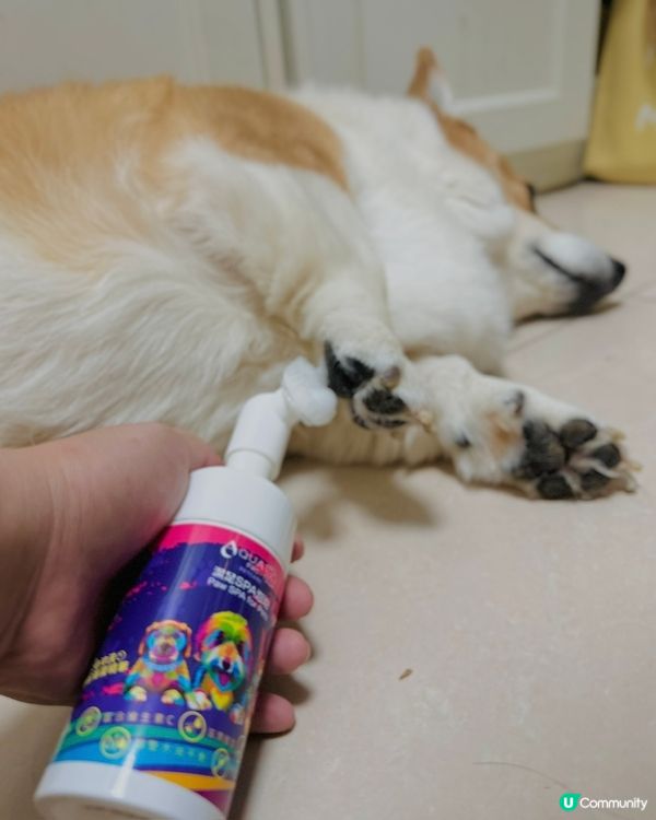 AQUA Pro+TECH PETCARE腳掌潔護SPA泡泡