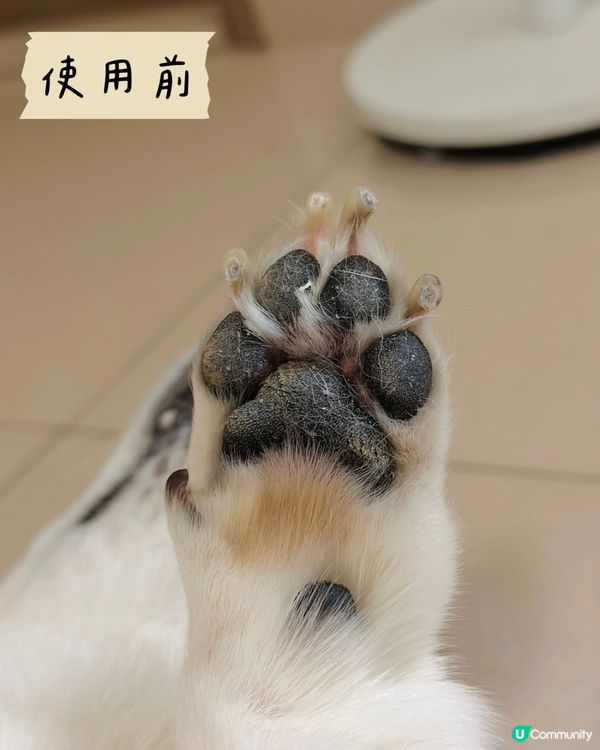 AQUA Pro+TECH PETCARE腳掌潔護SPA泡泡