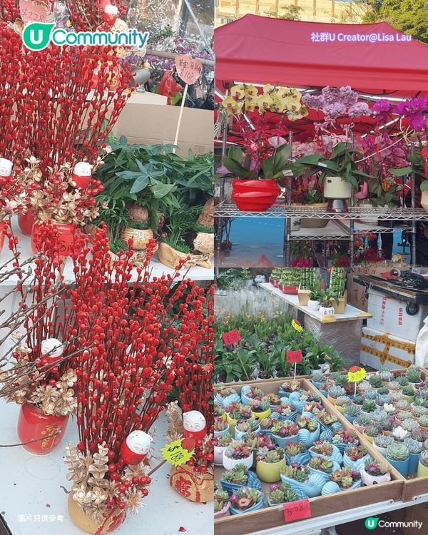 【年宵2026】全港戶外/室內年宵市場一覽🧨辦年貨年花必去！附日期+交通方式