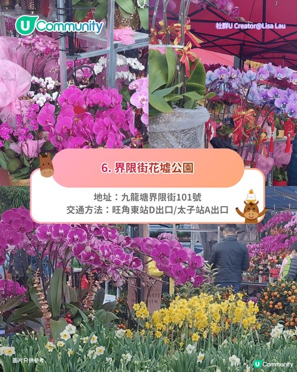 【年宵2026】全港戶外/室內年宵市場一覽🧨辦年貨年花必去！附日期+交通方式