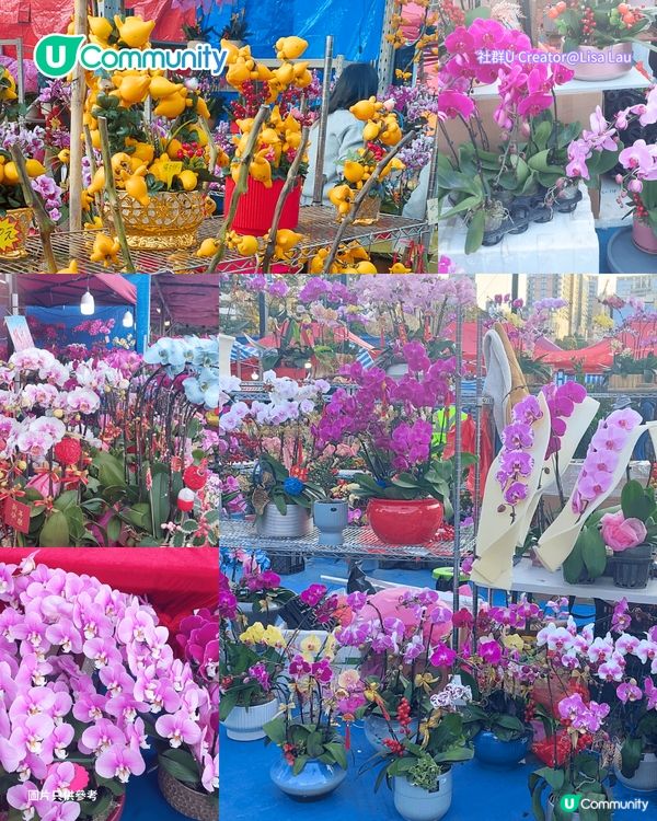 【年宵2026】全港戶外/室內年宵市場一覽🧨辦年貨年花必去！附日期+交通方式