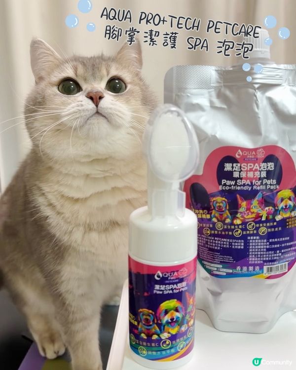 貓貓腳掌SPA！軟綿綿好舒服🐾