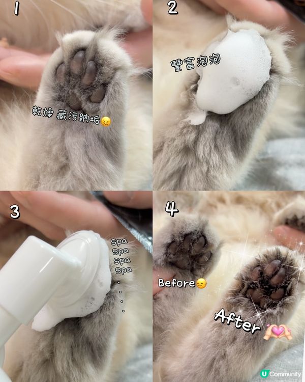 貓貓腳掌SPA！軟綿綿好舒服🐾