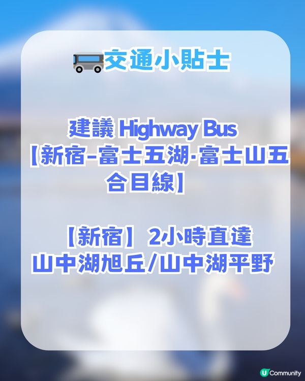 🌟日本富士山絕景一日游！重現芙莉蓮經典場景「蒼月草」花海🌸