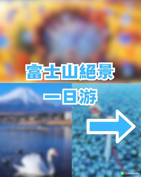 🌟日本富士山絕景一日游！重現芙莉蓮經典場景「蒼月草」花海🌸
