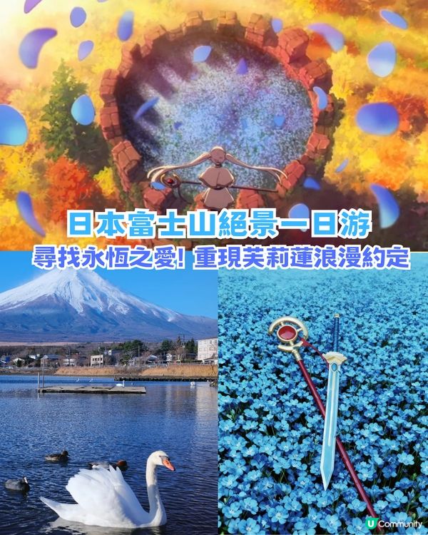 🌟日本富士山絕景一日游！重現芙莉蓮經典場景「蒼月草」花海🌸
