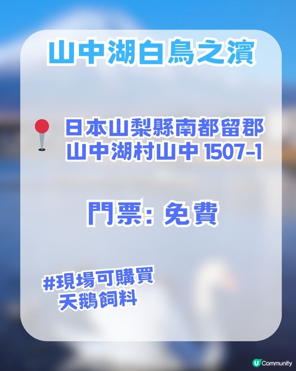 🌟日本富士山絕景一日游！重現芙莉蓮經典場景「蒼月草」花海🌸