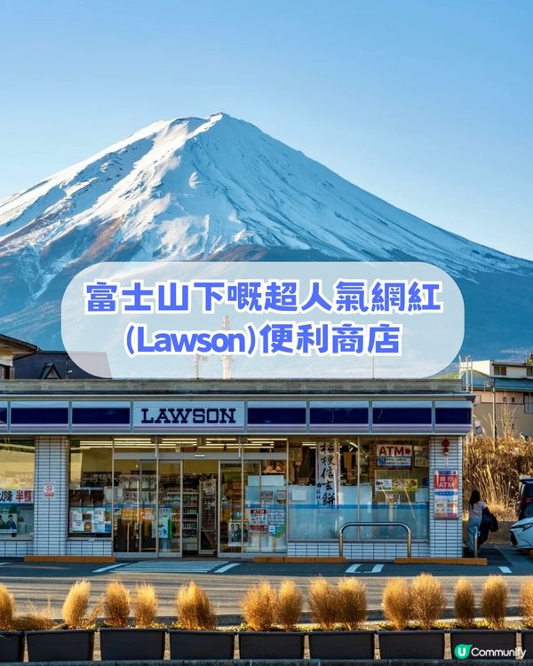 🌟日本富士山絕景一日游！重現芙莉蓮經典場景「蒼月草」花海🌸