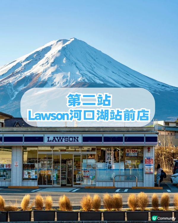 🌟日本富士山絕景一日游！重現芙莉蓮經典場景「蒼月草」花海🌸