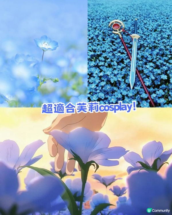 🌟日本富士山絕景一日游！重現芙莉蓮經典場景「蒼月草」花海🌸