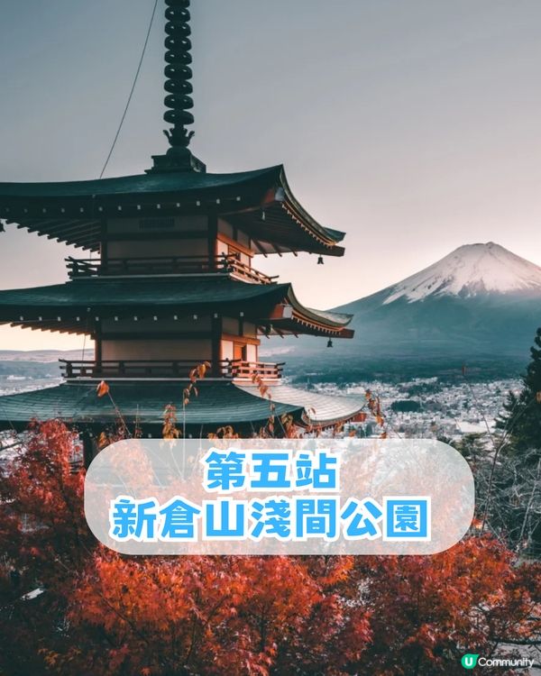 🌟日本富士山絕景一日游！重現芙莉蓮經典場景「蒼月草」花海🌸