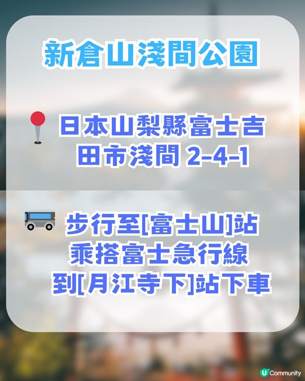 🌟日本富士山絕景一日游！重現芙莉蓮經典場景「蒼月草」花海🌸