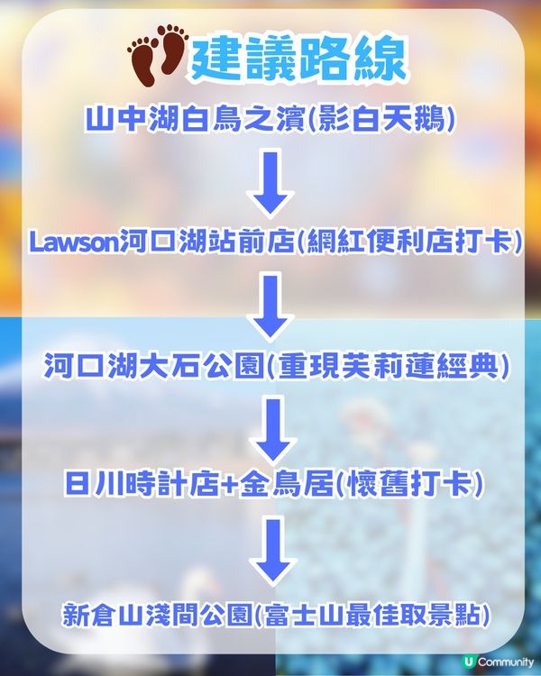 🌟日本富士山絕景一日游！重現芙莉蓮經典場景「蒼月草」花海🌸