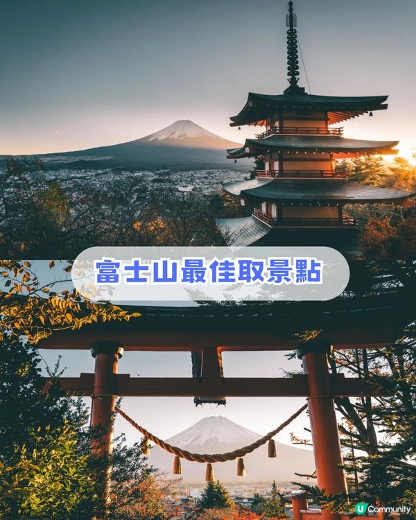 🌟日本富士山絕景一日游！重現芙莉蓮經典場景「蒼月草」花海🌸