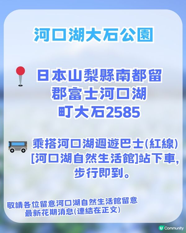 🌟日本富士山絕景一日游！重現芙莉蓮經典場景「蒼月草」花海🌸