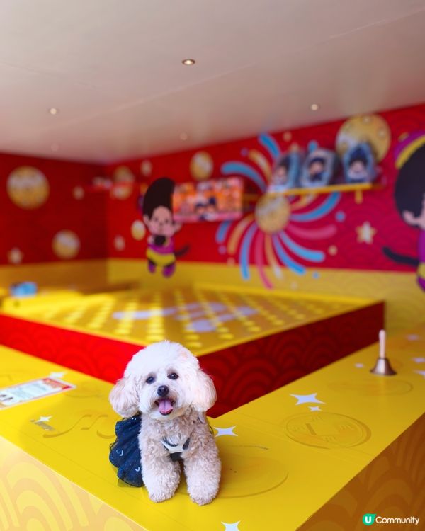 一家大細寵物有善嘉年華🎡