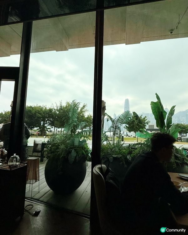 西九歎茶！🤤 叉燒必點！