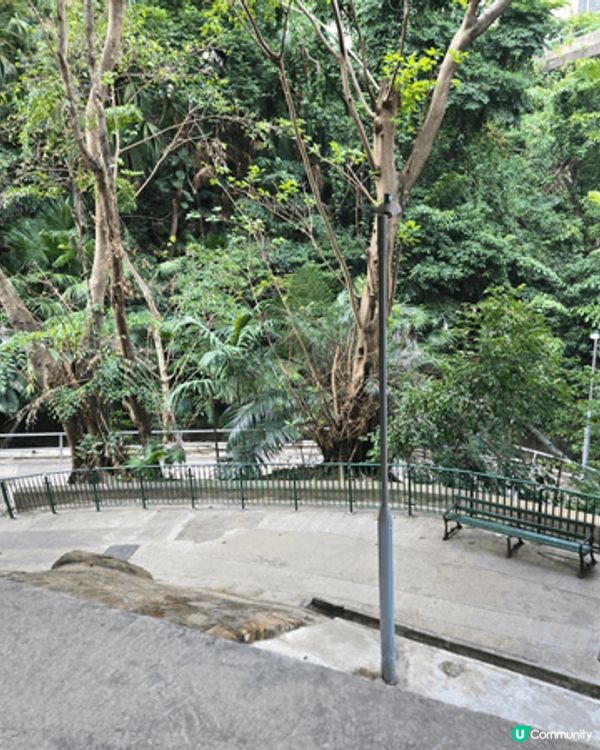香港港島區建築物特別懷舊， 好有以前的味道 ，尤其上山頂的路...
