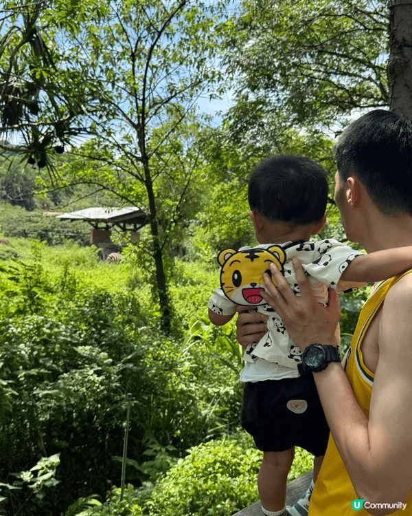 今次去台北旅行主要係帶呀仔去玩，係playgroup同動物園...