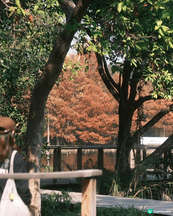 天水圍 - 濕地公園 🍁