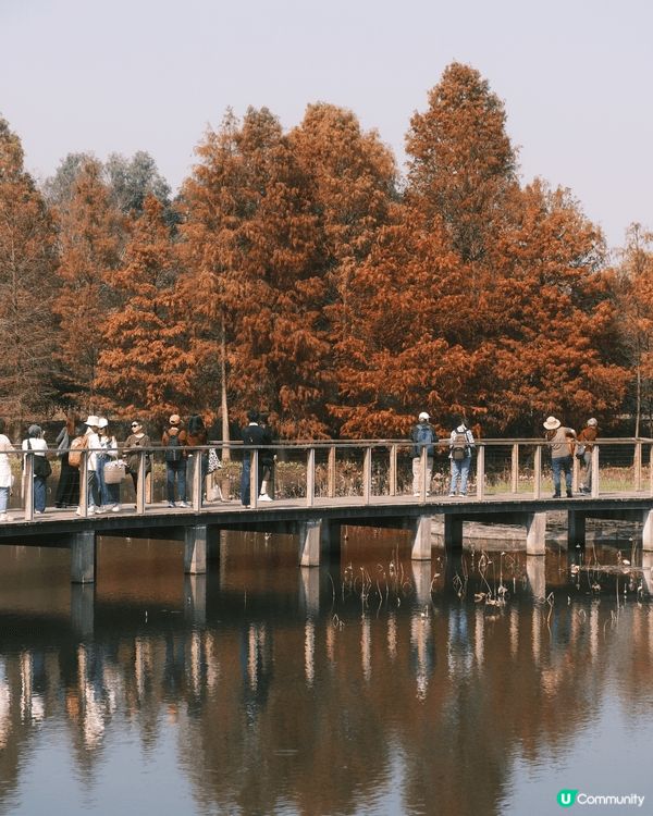 天水圍 - 濕地公園 🍁