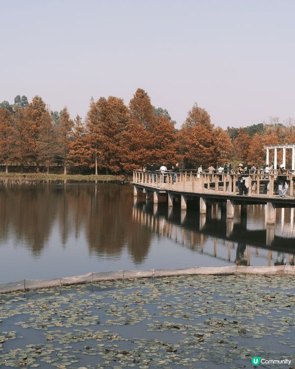 天水圍 - 濕地公園 🍁