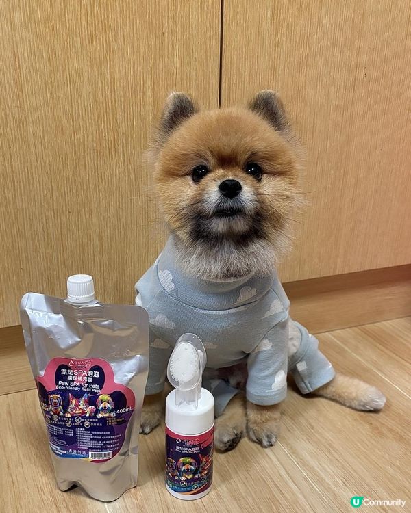 毛孩小腳掌恩物